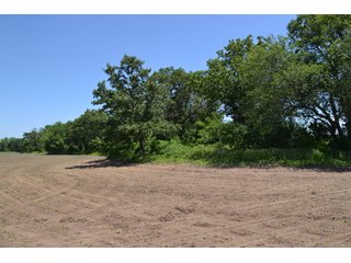 <b>PRICE REDUCED: $5,900 per acre</b><br>
This property offers productive tillable land along with two wooded areas.  Much of the larger woods near the road is on a ridge.  Investigate this area for a potential beautiful homesite as well as for hunting and recreational opportunities. <br>
<b>156.9+/- </b>Total Acres | <b>145.83+/-</b> Tillable Cropland Acres per FSA | <b>10+/-</b> Wooded Acres - 156.9+/- Acres For Sale - Cropland, Woods for Hunting/Recreational & Potential Building Sites